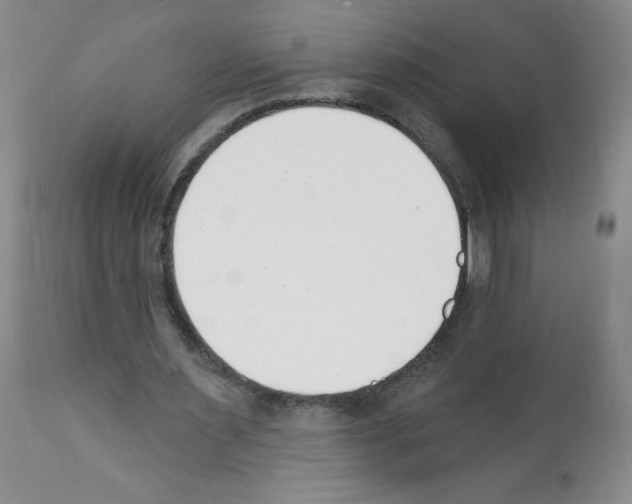 X0000112080483200909151117