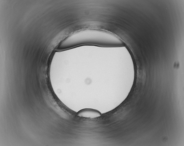 X0000112080485200909151117