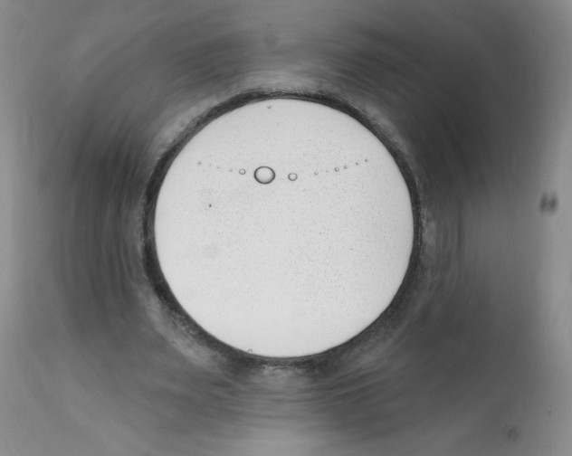 X0000112080487200909151117