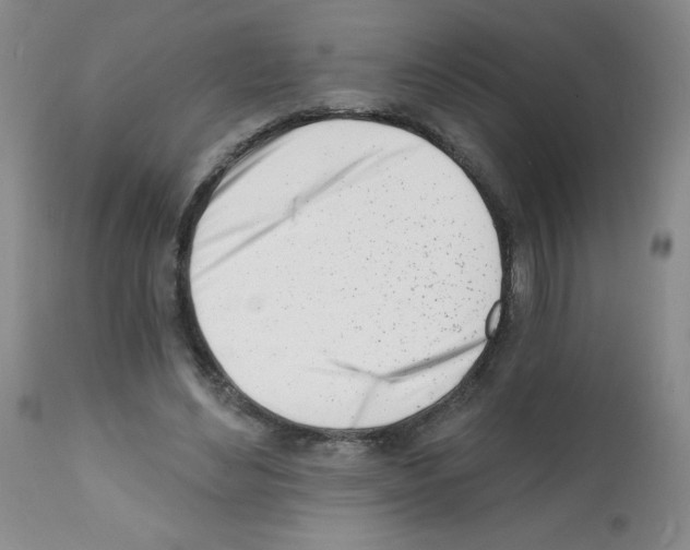 X0000112080492200909151116