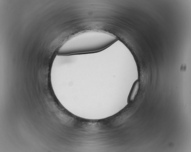 X0000112080493200909151116
