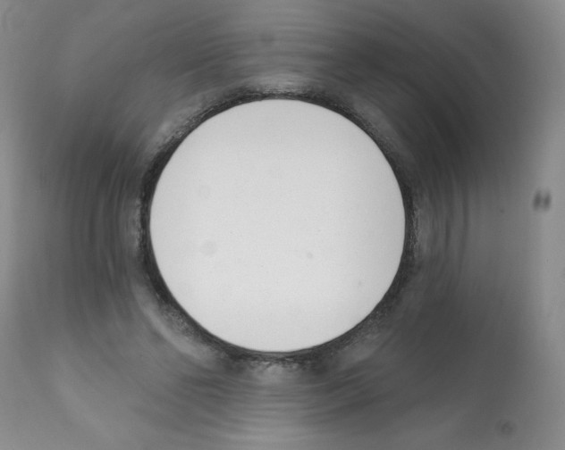 X0000112080494200909151116