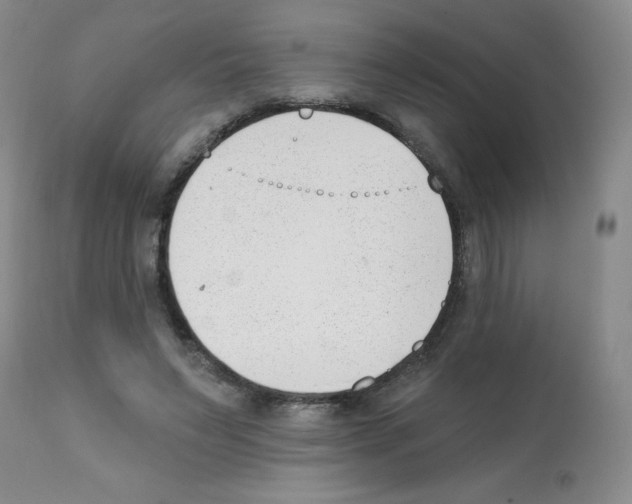 X0000112080495200909151116