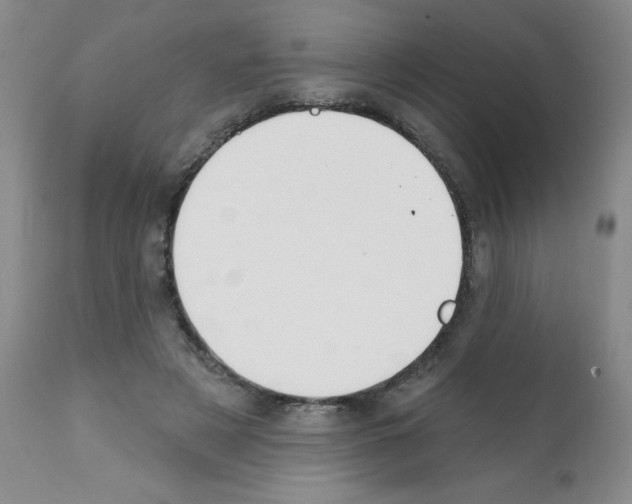 X0000112080497200909151116