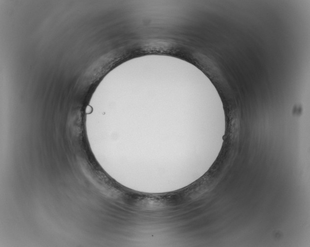 X0000112080498200909151116