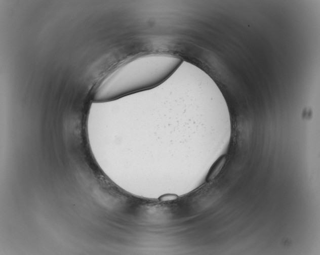 X0000112080500200909151116