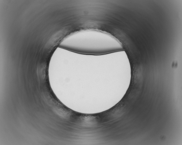 X0000112080501200909151116