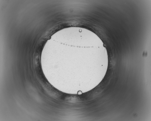 X0000112080503200909151116
