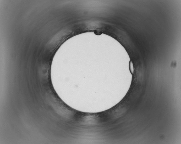 X0000112080505200909151116