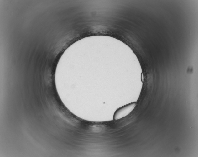 X0000112080508200909151116