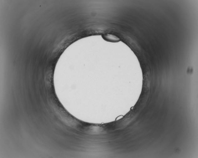 X0000112080509200909151116