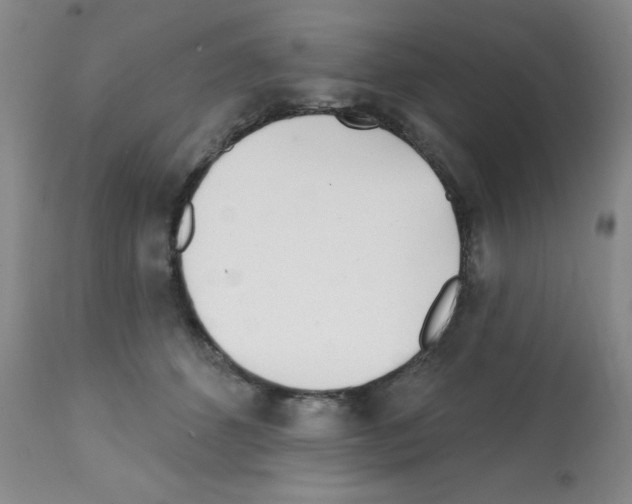 X0000112080512200909151116