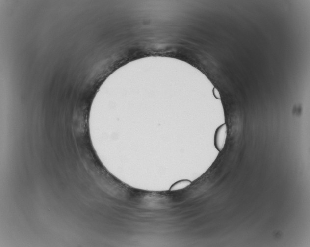 X0000112080515200909151116