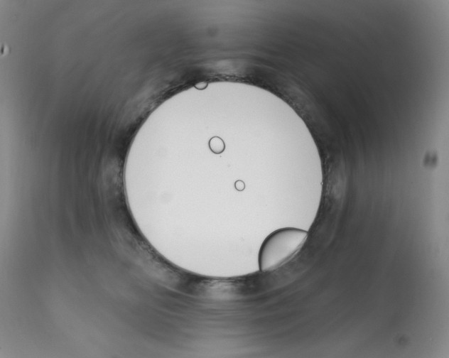 X0000112080518200909151116