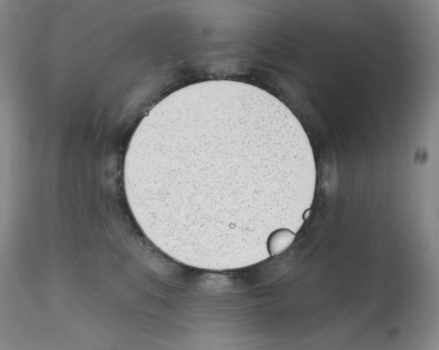 X0000112080519200909151116
