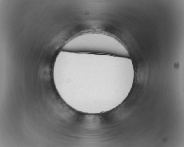 X0000112080520200909151116