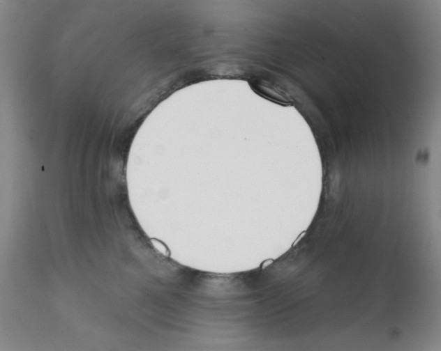 X0000112080521200909151116