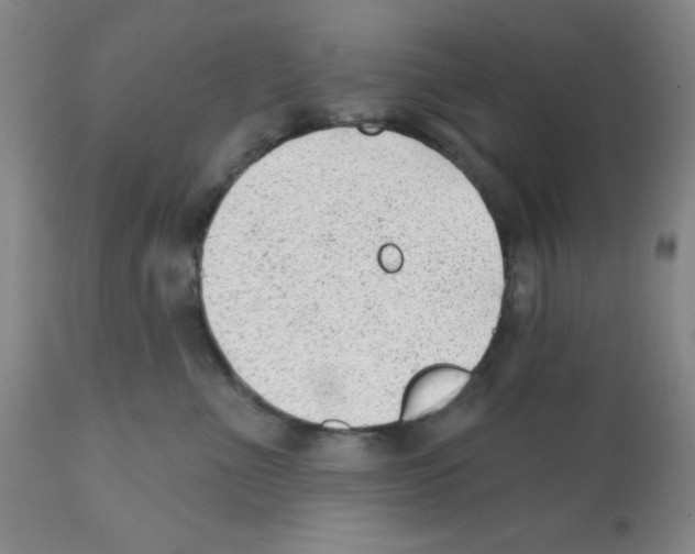 X0000112080523200909151116