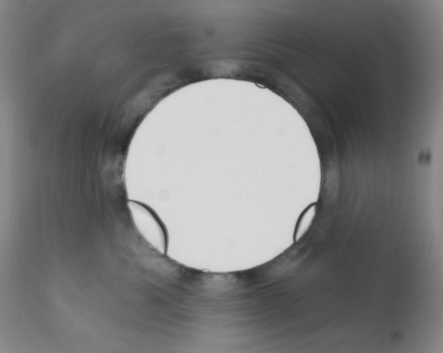 X0000112080525200909151116