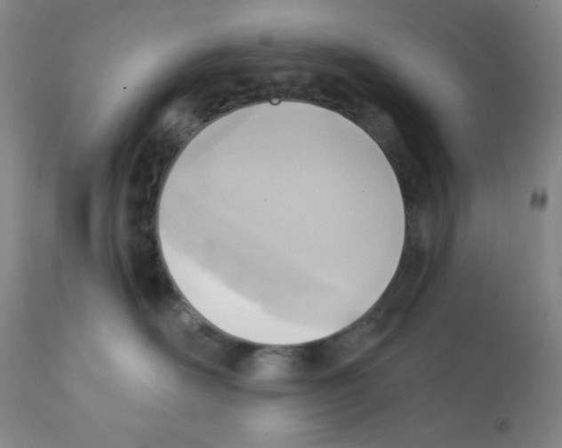 X0000112080526200909151116