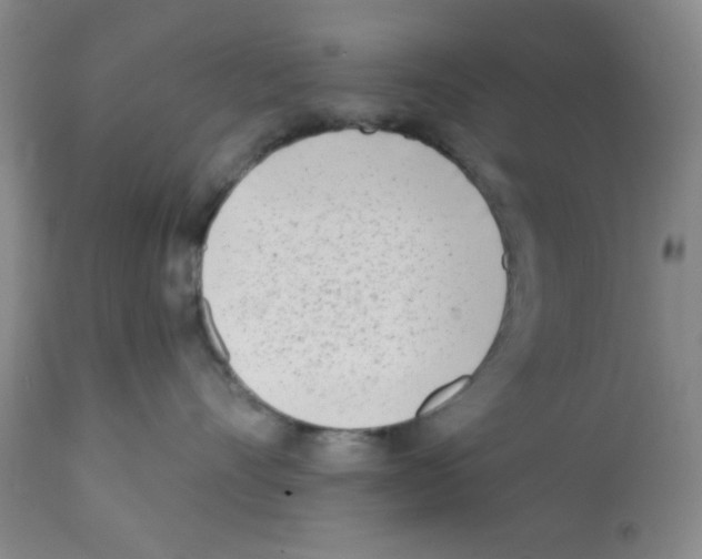 X0000112080528200909151116
