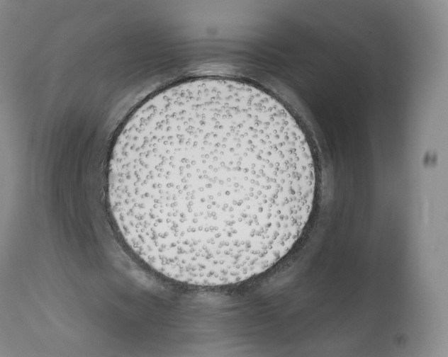 X0000112080529200909151115