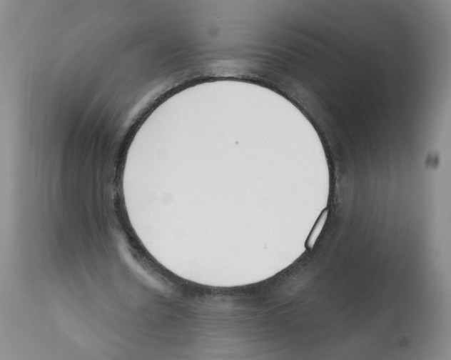 X0000112080530200909151115