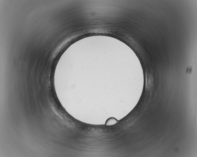 X0000112080531200909151115