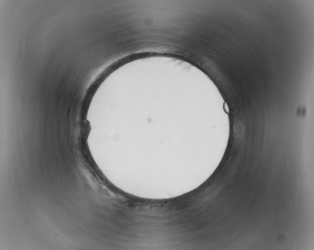 X0000112080532200909151115