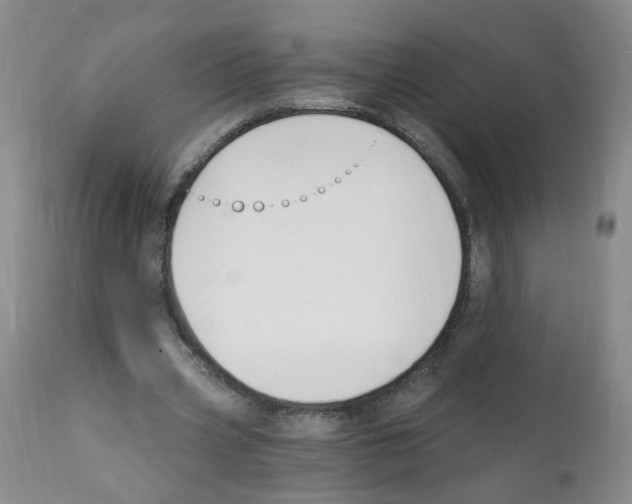 X0000112080533200909151115