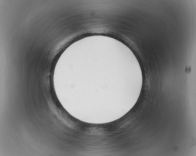 X0000112080535200909151115