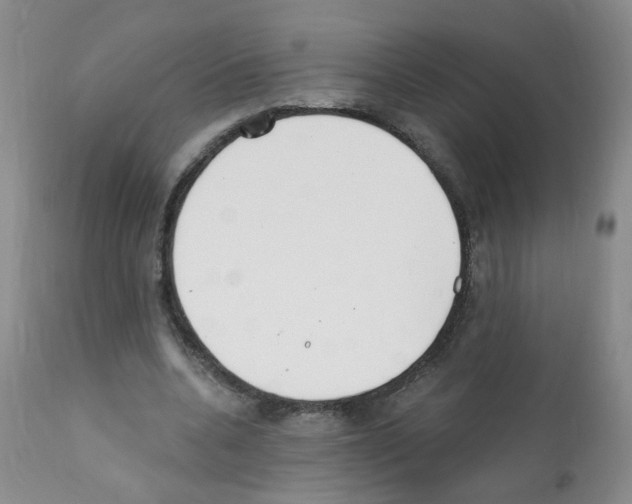 X0000112080536200909151115