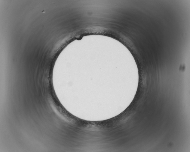X0000112080538200909151115