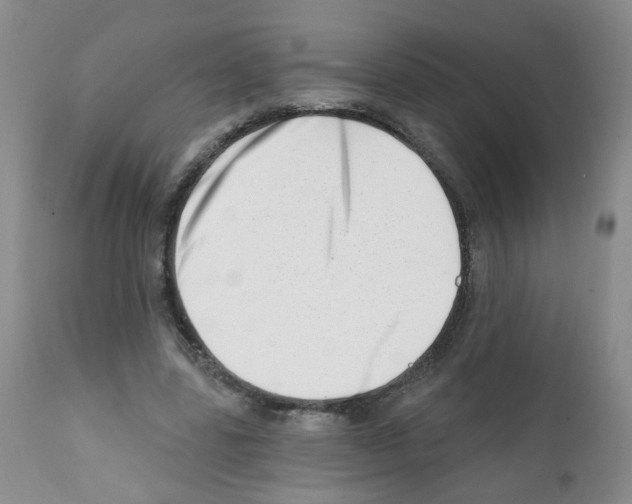X0000112080539200909151115