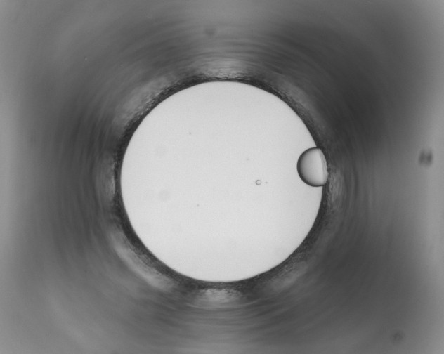 X0000112080541200909151115