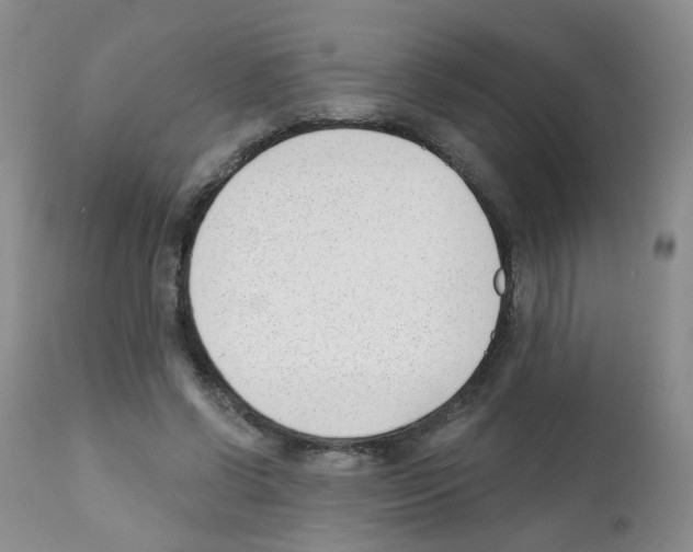 X0000112080542200909151115