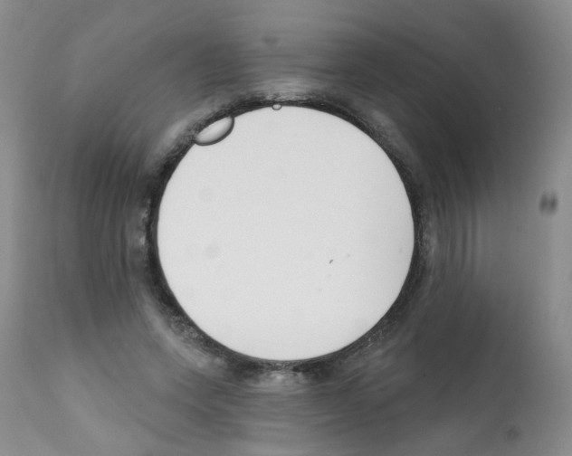 X0000112080543200909151116