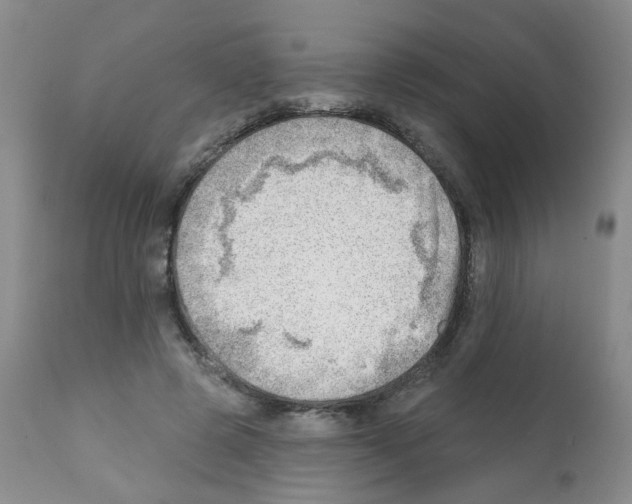 X0000112080545200909151116