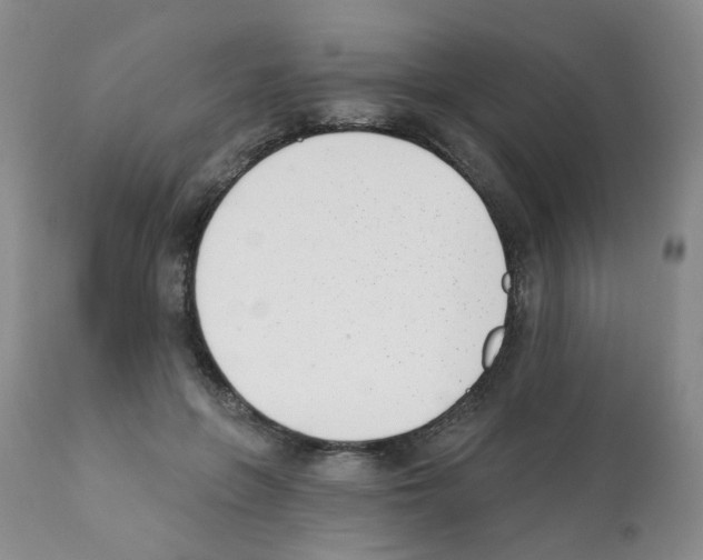 X0000112080551200909151116