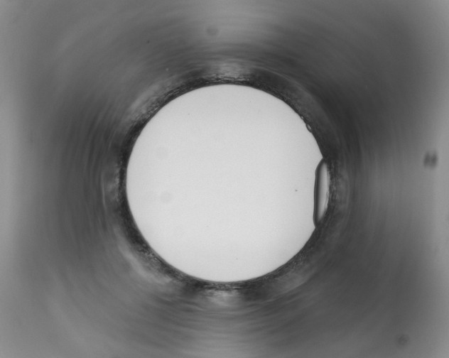 X0000112080552200909151116