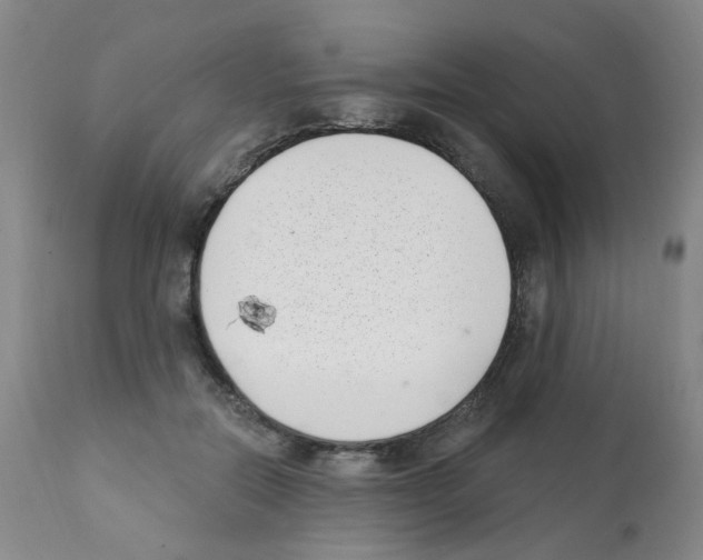 X0000112080554200909151116