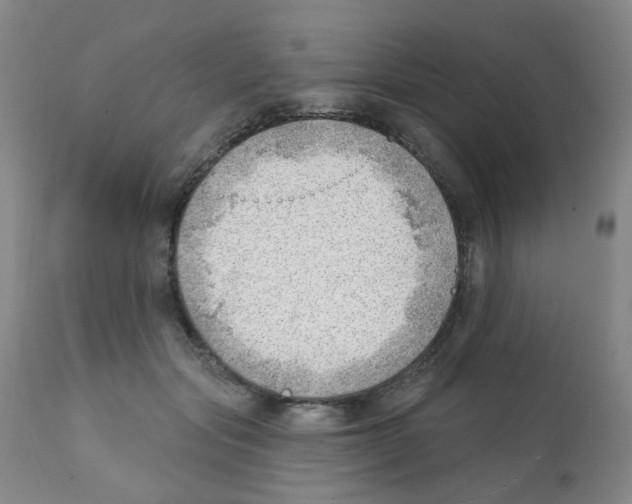 X0000112080557200909151116
