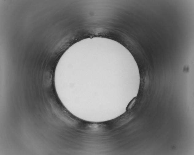 X0000112080558200909151116