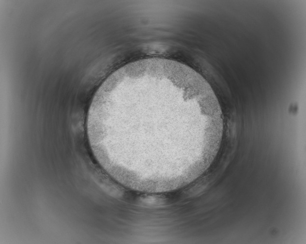 X0000112080561200909151116