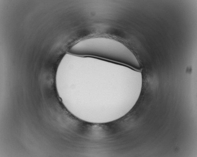 X0000112080566200909151116