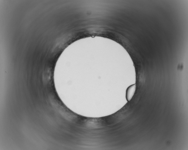 X0000112080567200909151116