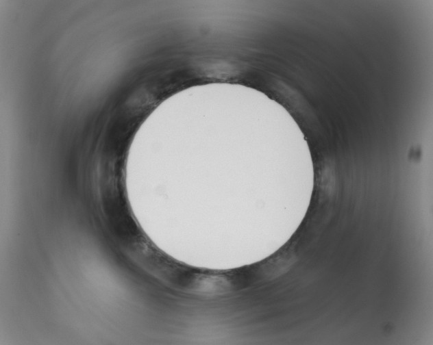 X0000112080572200909151116