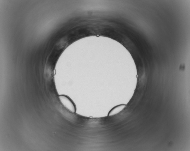X0000112080574200909151116