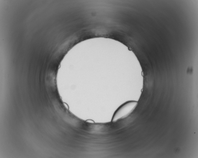 X0000112080575200909151116