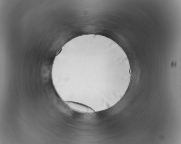 X0000112080576200909151116